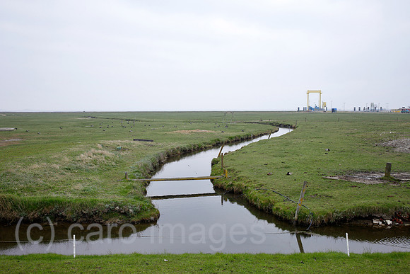 00P140423D059CAROE.JPG