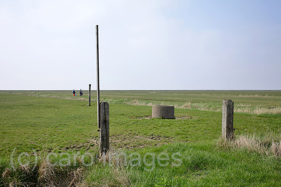 00P140423D073CAROE.JPG