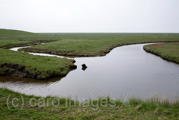 00P140423D069CAROE.JPG