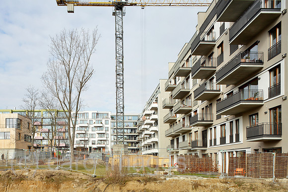 00P140220D100CAROE.JPG