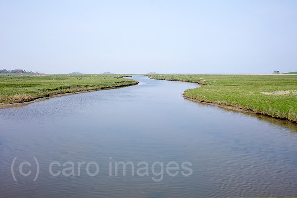 00P140423D074CAROE.JPG