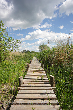 00P140530D159CAROE.JPG