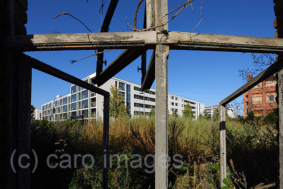 00P090930D111CAROE.JPG
