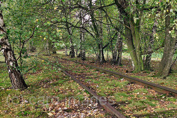 00P091013D158CAROE.JPG