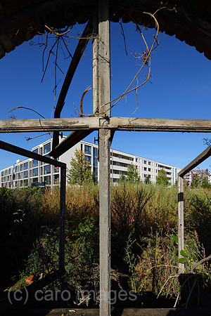 00P090930D112CAROE.JPG