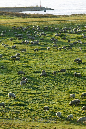 00P091015D364CAROE.JPG