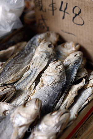 00P091026D525CAROE.JPG