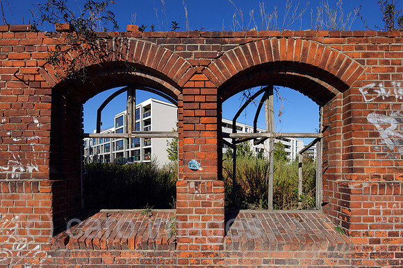 00P090930D110CAROE.JPG