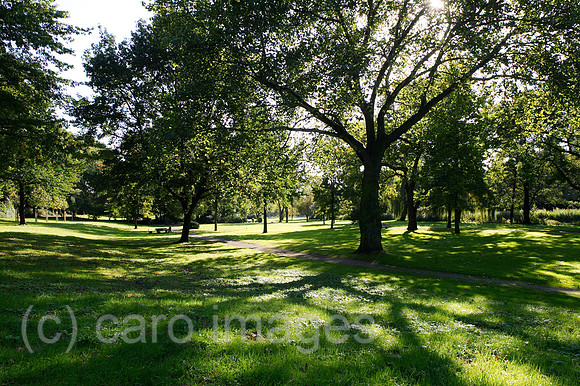 00P091015D336CAROE.JPG