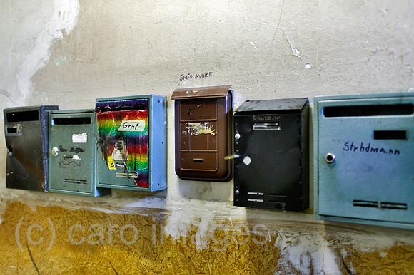 00P091015D296CAROE.JPG