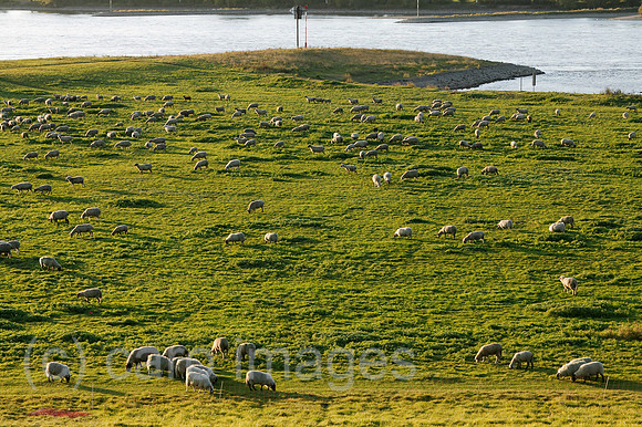 00P091015D363CAROE.JPG