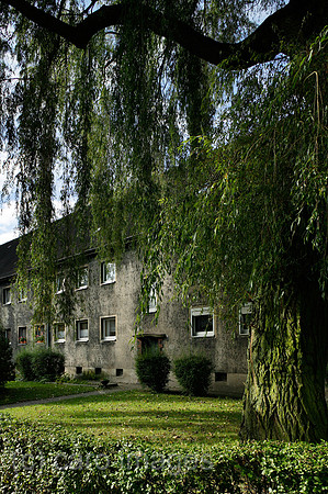 00P091014D223CAROE.JPG