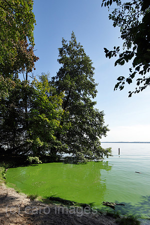 00P090927D100CAROE.JPG