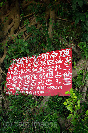 00P091027D626CAROE.JPG