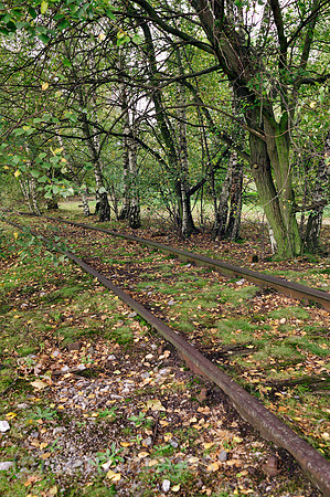 00P091013D159CAROE.JPG
