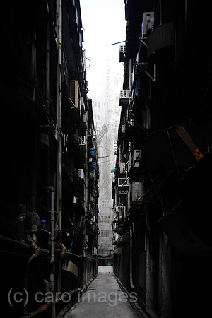 00P091027D646CAROE.JPG