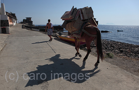 00S110713D017CAROE.JPG