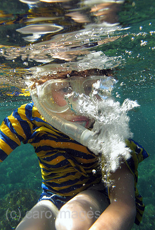 00S110710D008CAROE.JPG