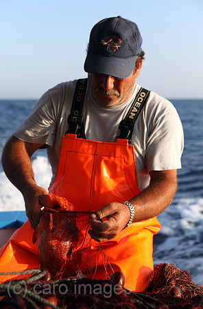 00S110713D014CAROE.JPG