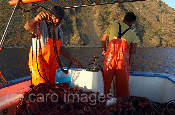 00S110713D011CAROE.JPG