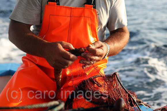 00S110713D015CAROE.JPG