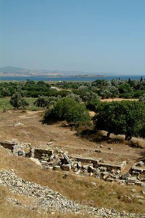 0SH050725D018CARO.JPG