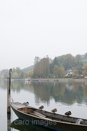 0SH060218D019CARO.JPG