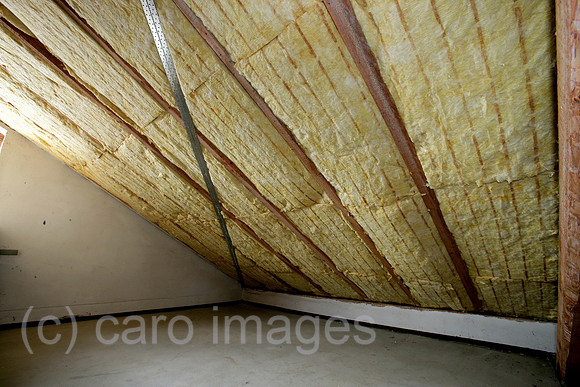 0SH050817D064CARO.JPG