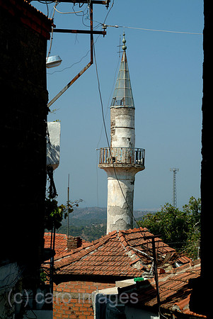 0SH050725D036CARO.JPG