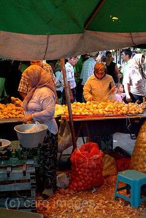 0SH050725D028CARO.JPG