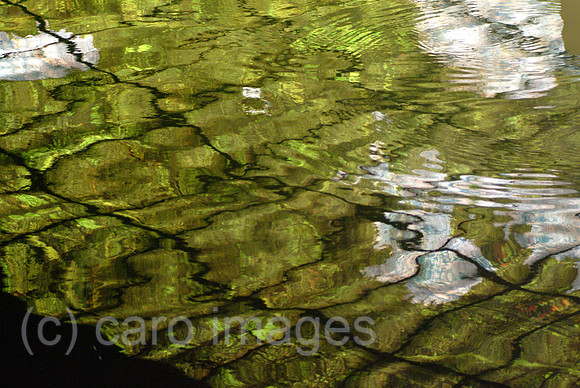 0SH060130D090CARO.JPG