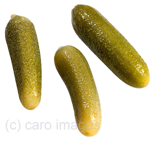 0SH050817D016CARO.JPG