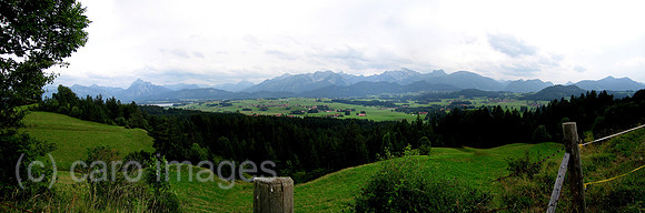 0SH050809D001CARO.JPG