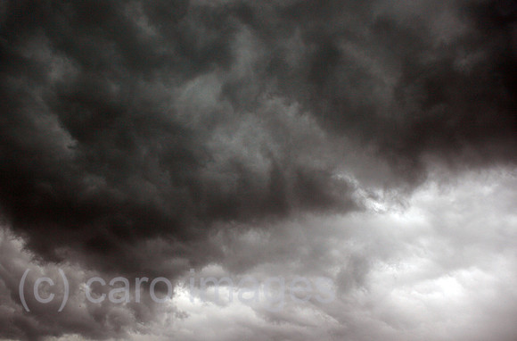 00S100822D357CAROE.JPG