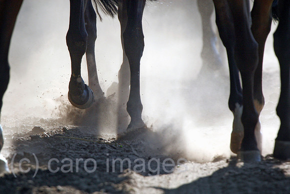 00S100626D028CAROE.JPG