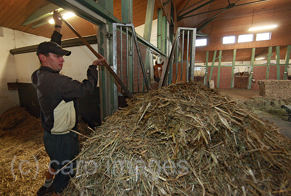 00S100626D011CAROE.JPG