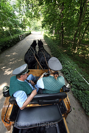 00S100625D007CAROE.JPG