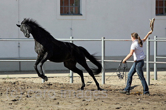 00S100707D024CAROE.JPG