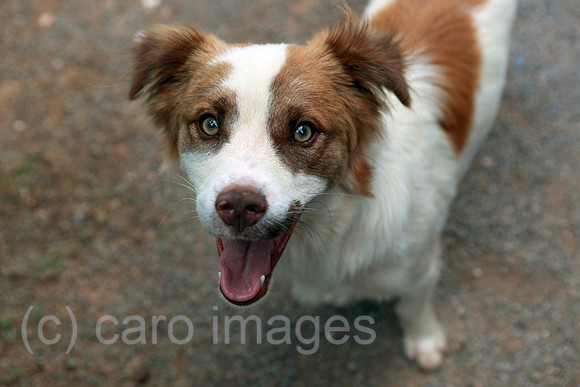 00S100725D023CAROE.JPG