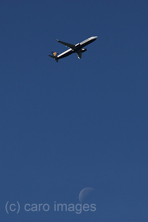 00S100903D362CAROE.JPG