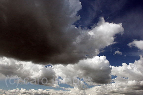 00S100828D352CAROE.JPG