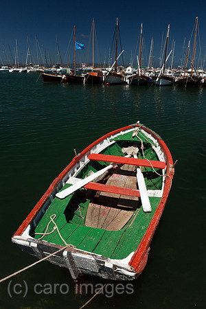 00S100728D001CAROE.JPG