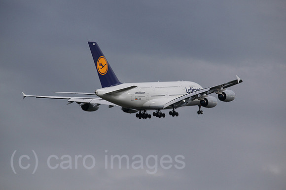 00S100830D352CAROE.JPG