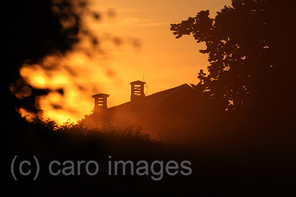 00S100628D019CAROE.JPG