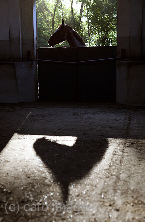 00S100707D015CAROE.JPG