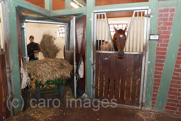 00S100626D013CAROE.JPG