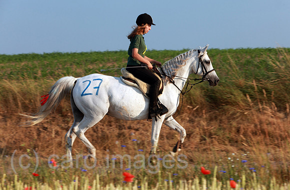 00S100703D023CAROE.JPG