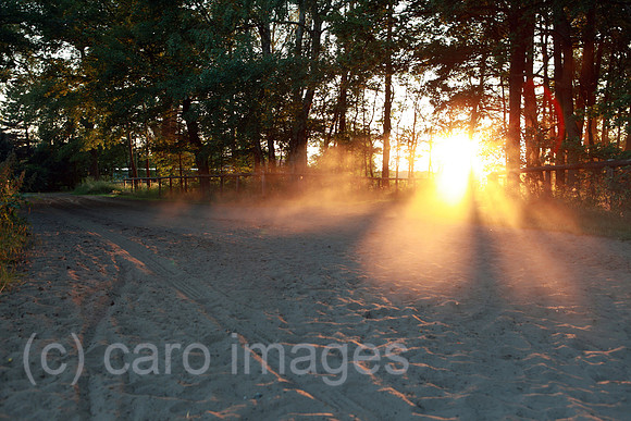 00S100626D003CAROE.JPG