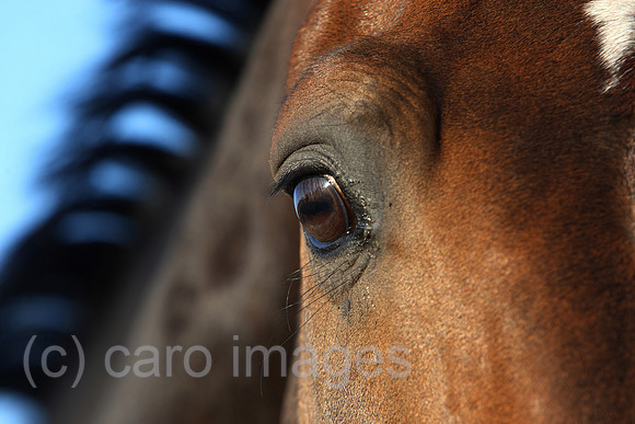 00S100707D005CAROE.JPG