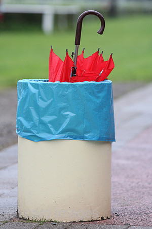 00S100807D354CAROE.JPG